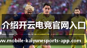 介绍开云电竞官网入口