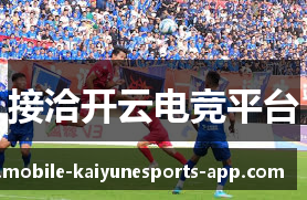 接洽开云电竞平台